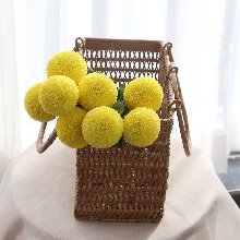 노란 퐁퐁국화 (1송이), 꽃시장, 생화택배